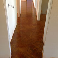 Trim and Molding